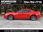 Thumbnail Photo 63 for 2003 Ford Mustang Cobra Coupe